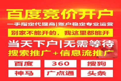 百度SEO推广公司案例汇编：实战技巧全解析