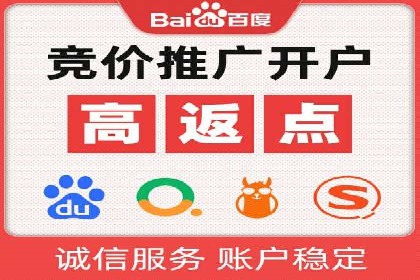 专业SEM托管服务成功案例分享
